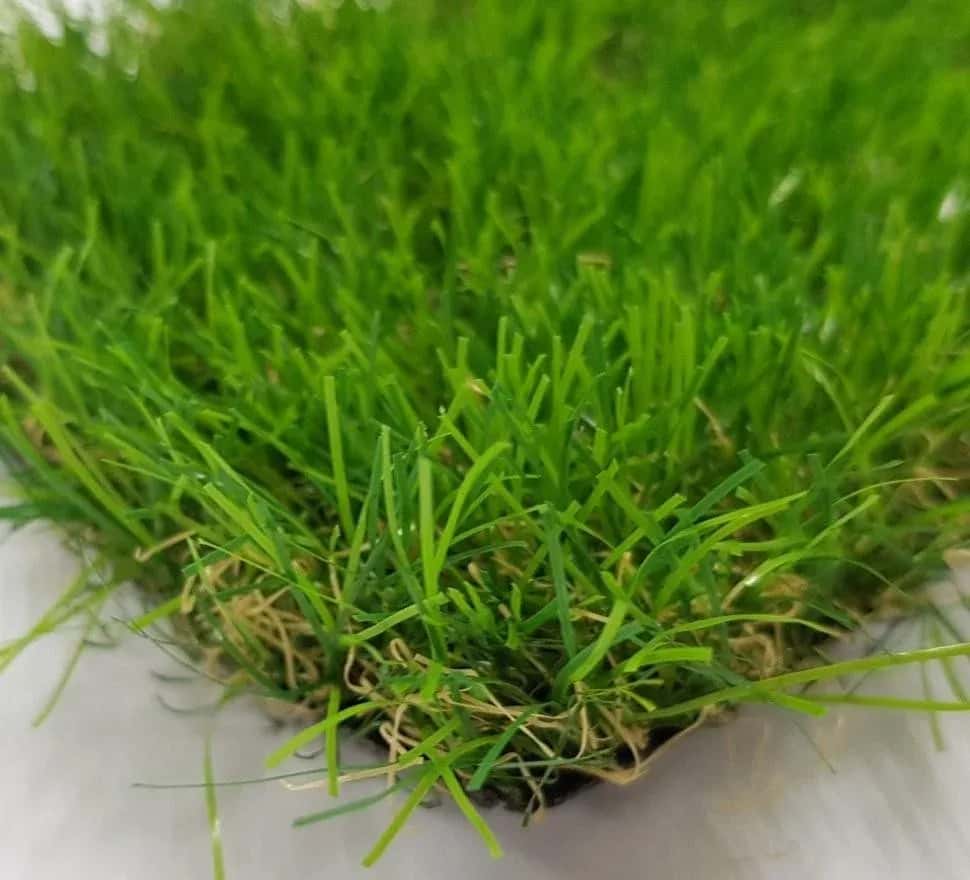 Matrix Тропикана 35 green