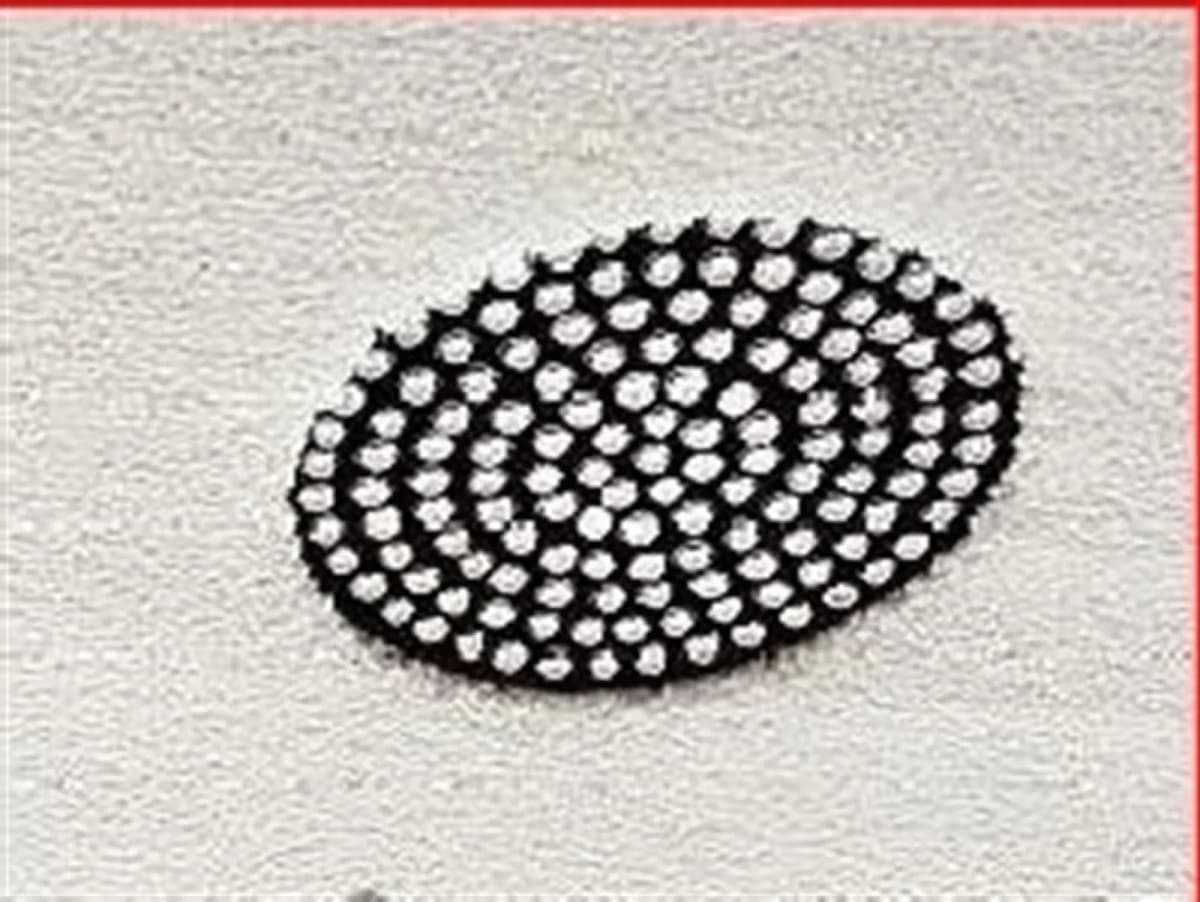 Agnella Glamour Sparkle - фото 9