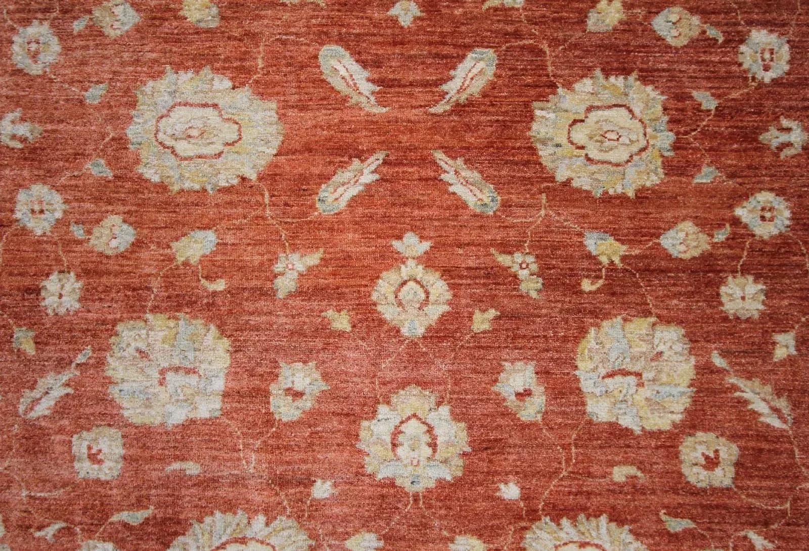 no-model-24082 - фото 4