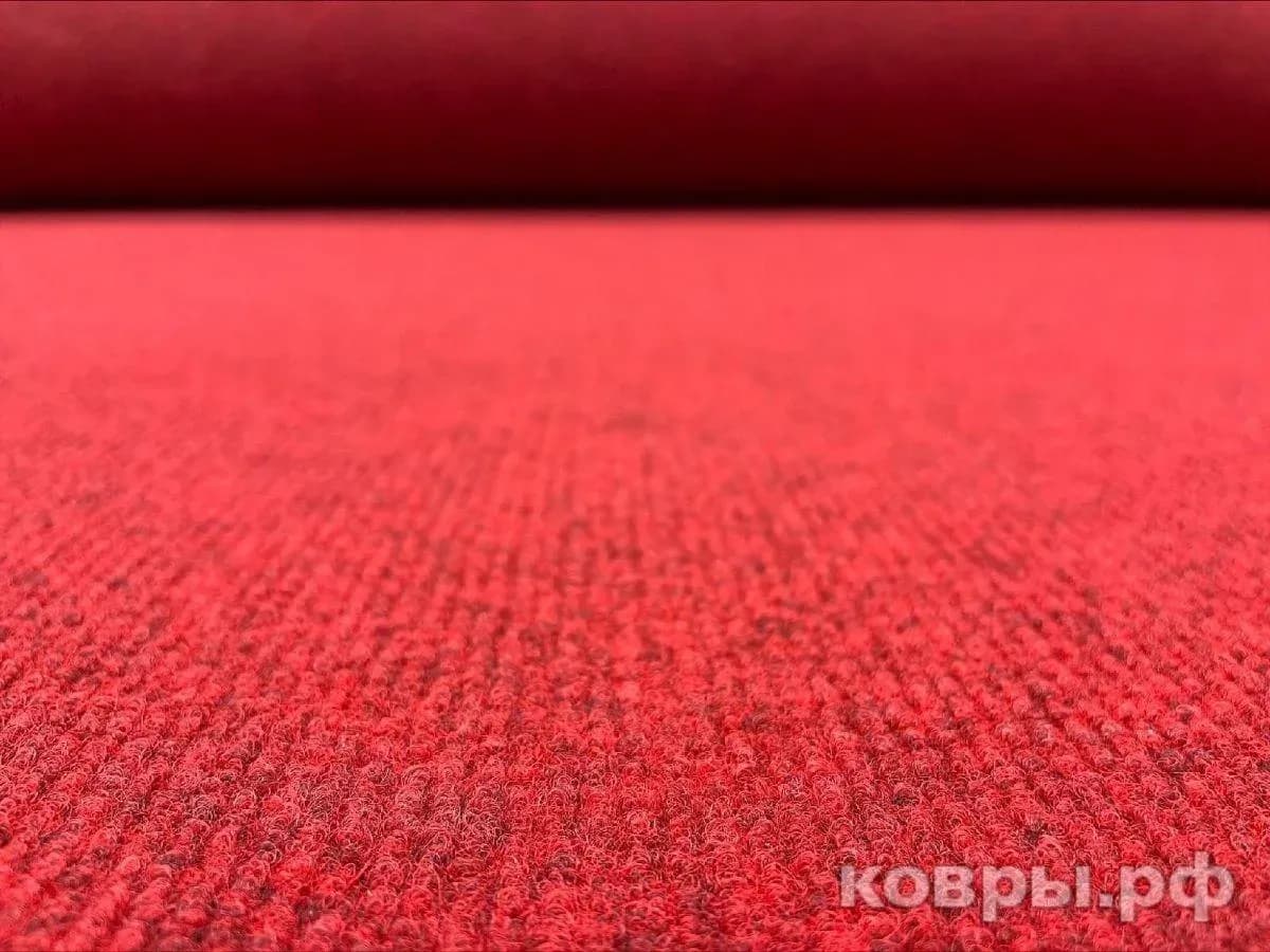 Balsan Ruby 99 - фото 3
