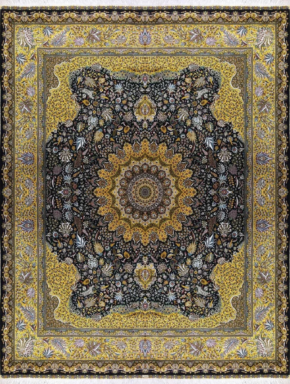 no-model-24672