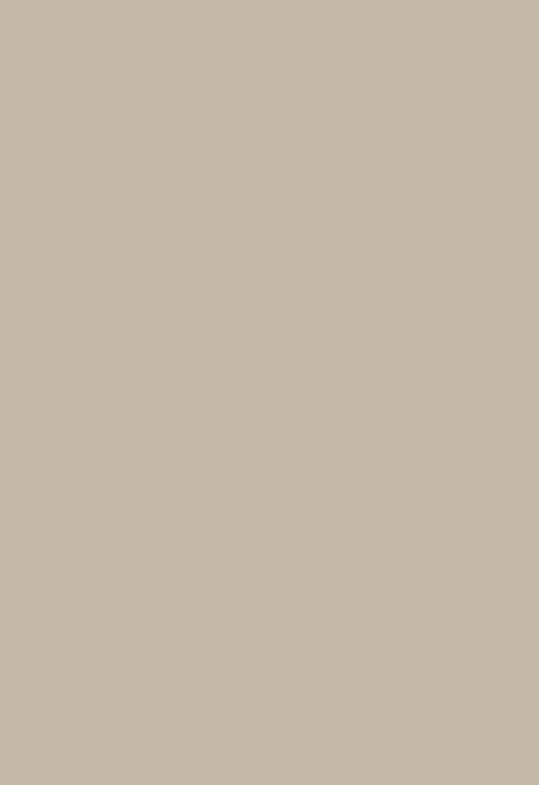 Белка Фьюжн 42300 - фото 1