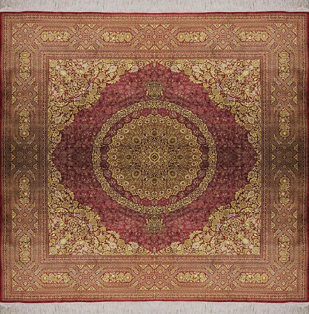 no-model-24731