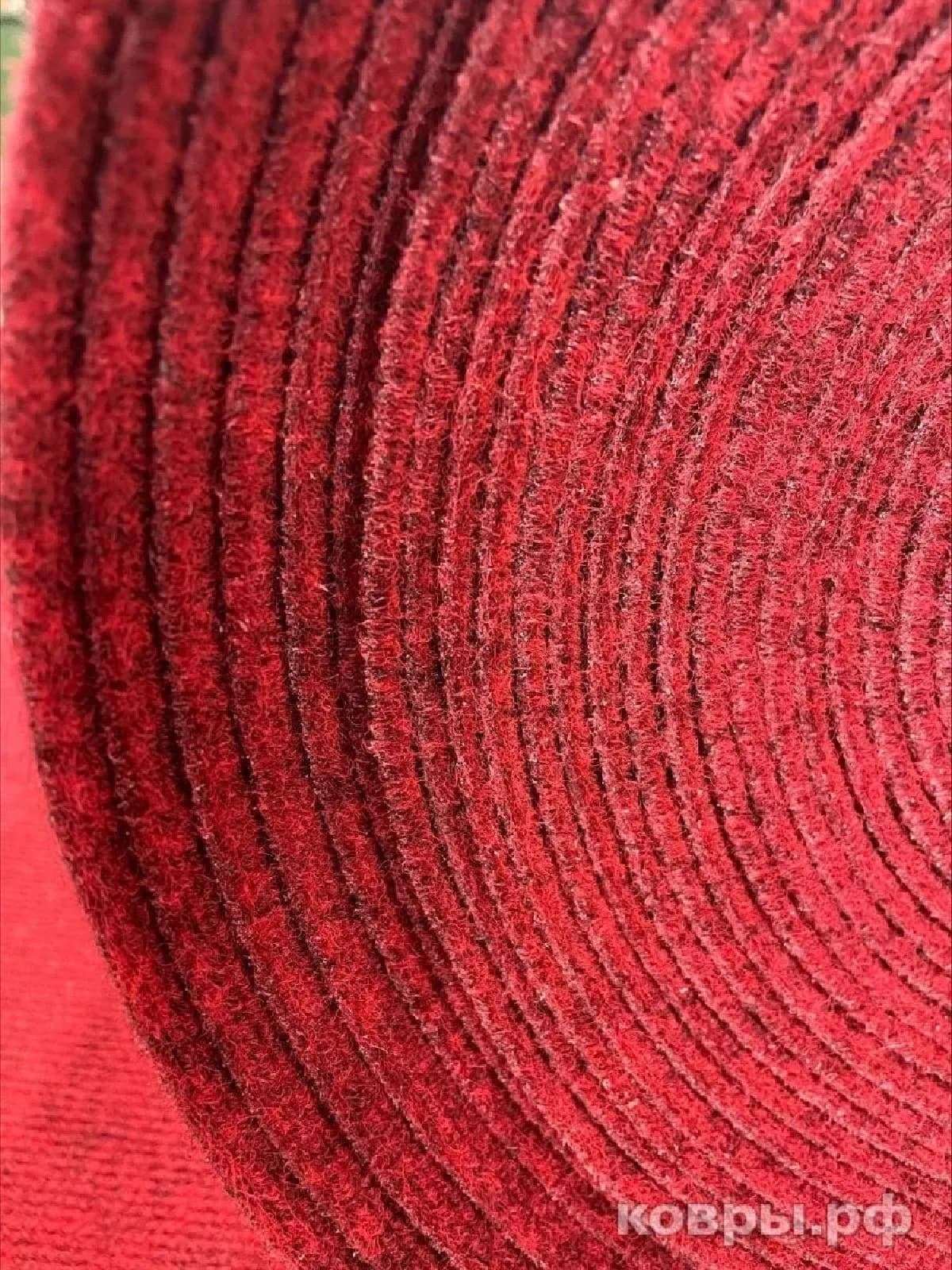 Balsan Ruby 99 - фото 5