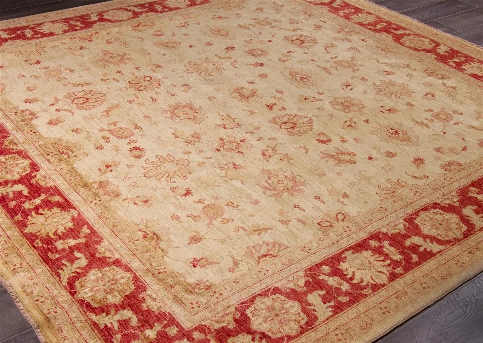 no-model-24893 - фото 3