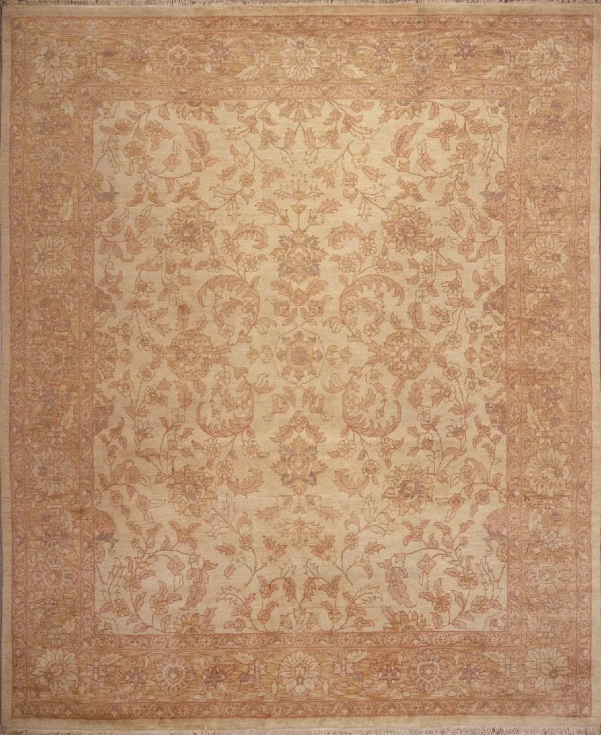 no-model-24865