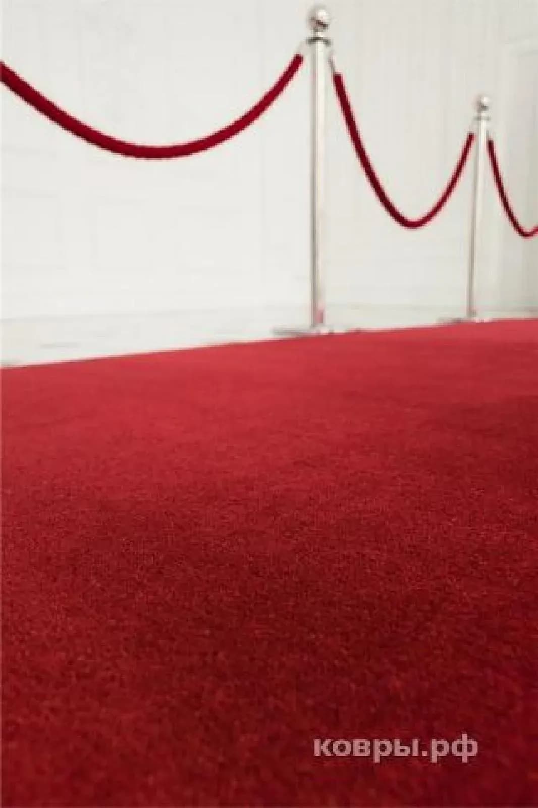 Balsan Cannes-R 927 - фото 2