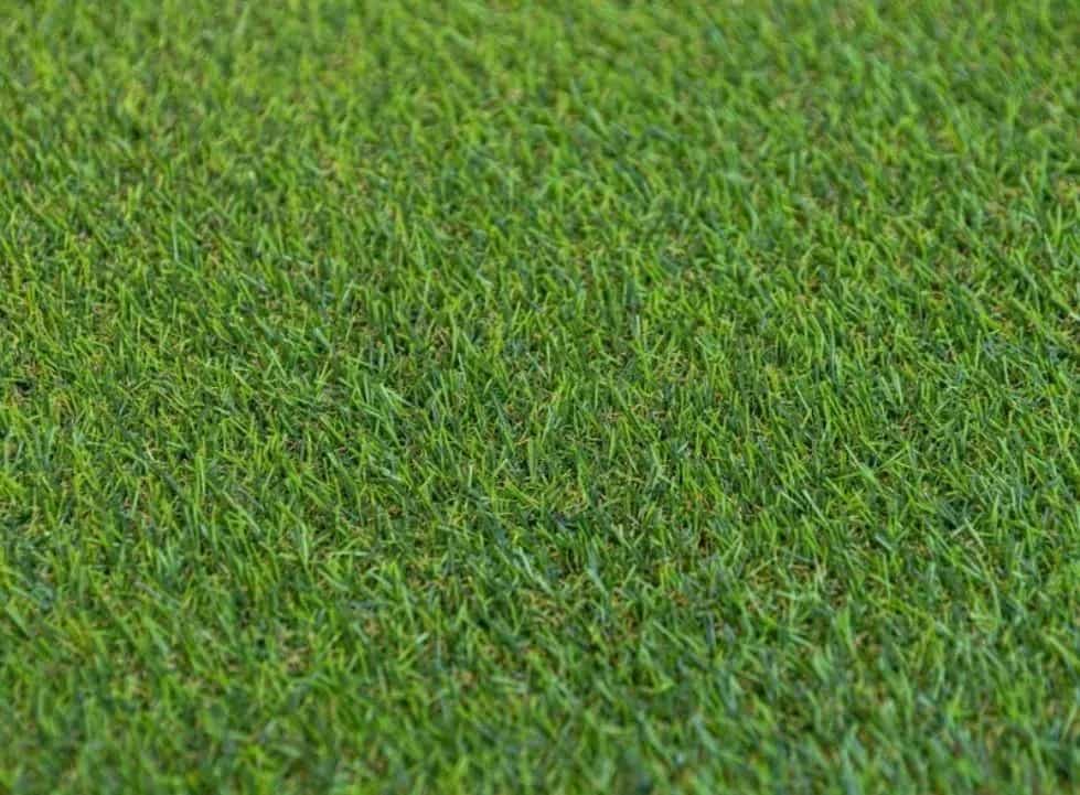 Matrix Grass Fantas 4