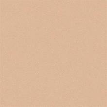 Бежевый линолеум Acczent PRO Aspect 5 4.0 м Бежевый линолеум Acczent PRO Aspect 5 4.0 м