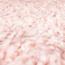 ковер MERINOS SHAGGY TREND L001 LIGHT PINK