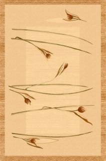 Agnella Isfahan Apus sahara