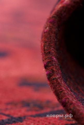 ковер ручной работы Пакистанский ковер ручной работы Хамамади 2.58x3.53м — фото 9