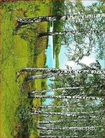 ковер Люберецкие ковры Родные просторы С30ПР 51068 03