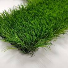 Pelegrin 35 green  Pelegrin 35 green