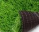 искусственная трава Matrix Atlanta 40 green