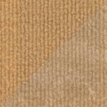 Бежевый ковролин EXPOLINE с защитной плёнкой 0036 Cocos, 2.0 м