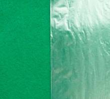 СПЕКТРА с защитной плёнкой 519 Ярко зеленый СПЕКТРА с защитной плёнкой 519 Ярко зеленый