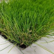 Тропикана 50 green  Тропикана 50 green