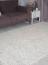 ковер Ковер  SAHAN LILY 8504A S.WHITE / P.VIZON