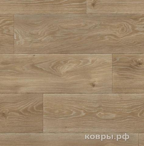 линолеум Синтерос Комфорт Spenser 4
