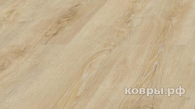 ламинат Ламинат Kronopol Symfonia Aurum Vivo Oak — фото 3