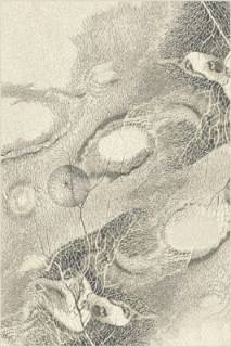 Agnella Isfahan Bellona pearl