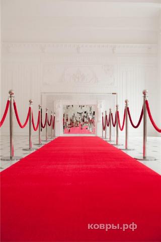 дорожка Карат Kolibri 11000 120 — фото 3