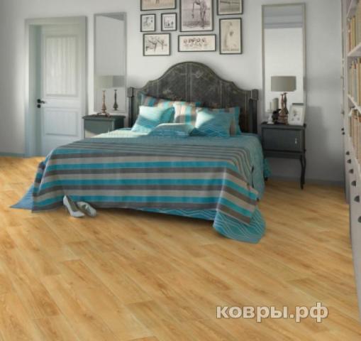 линолеум Синтерос Bonus Sorbona 3 — фото 2