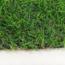 искусственная трава Matrix August 20 green