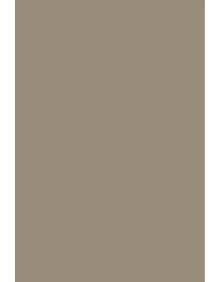 Дорожка Фиеста 36100 36922, 3.0 м