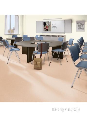 линолеум Tarkett Acczent PRO Aspect 5 — фото 2