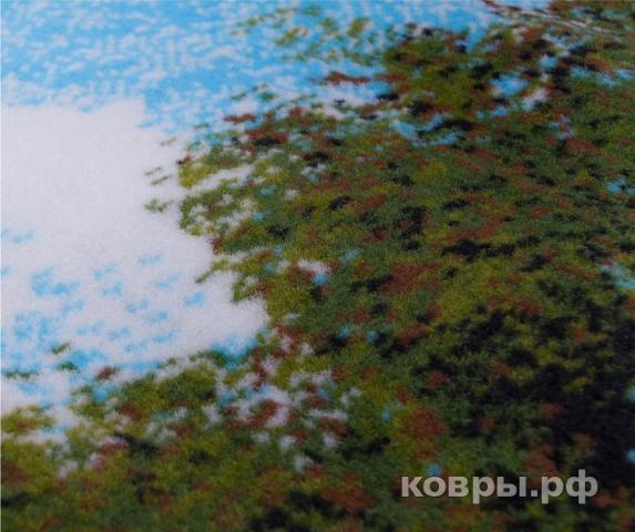 ковер Люберецкие ковры Родные просторы С30ПР 51062 03 — фото 8