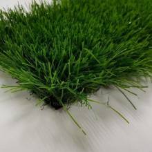 Pelegrin 50 green  Pelegrin 50 green