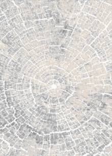 БелКа Визион 22114 25364