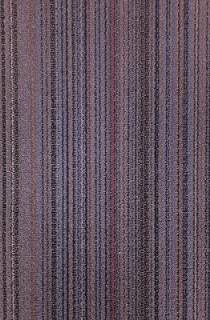 Ковровая дорожка Фокс 5 55