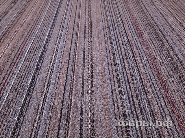 дорожка Дюна Тафт Фокс 5 55 — фото 2