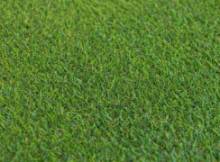Grass Fantas 4  Grass Fantas 4