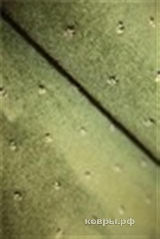 дорожка Merinos Valencia p001 green — фото 3